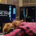 Jak pobrać gry na PC za darmo bezpiecznie i legalnie?